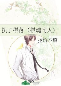 執子棋落(棋魂同人)